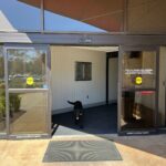 Therapy dog, Ashby, waiting at the entrance of Evolve Dental Care to greet new patients.
